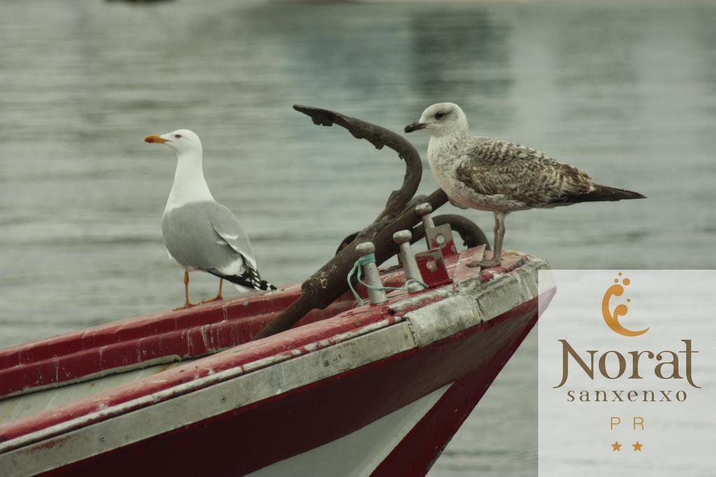 Nuevo Norat Sanxenxo Hotel Bagian luar foto
